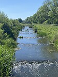 IMG_6161