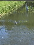 IMG_6164