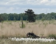 IMG_6174