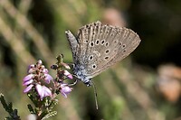 IMG_6181