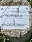 IMG_6352