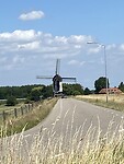 IMG_6349