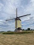 IMG_6387