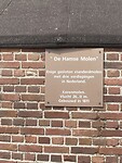 IMG_6388