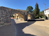 IMG_6950
