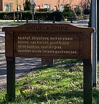 IMG_7308