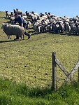 IMG_7321