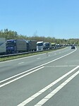 IMG_7337