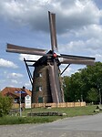 IMG_7347