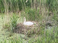 IMG_7370