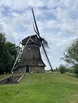 IMG_7398