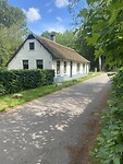 IMG_7401