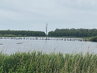 IMG_7407