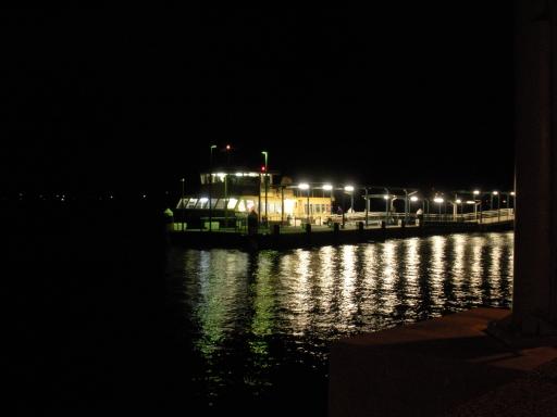 de ferry en de steiger