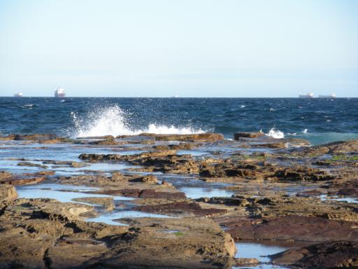 de kust
