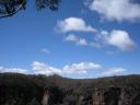 Morton National Park + wildlife + Fitzroy Falls