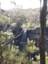 Morton National Park + wildlife + Fitzroy Falls