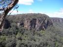 Morton National Park + wildlife + Fitzroy Falls