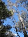 Morton National Park + wildlife + Fitzroy Falls