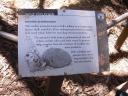 Morton National Park + wildlife + Fitzroy Falls