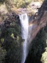 Morton National Park + wildlife + Fitzroy Falls