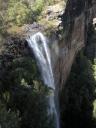 Morton National Park + wildlife + Fitzroy Falls