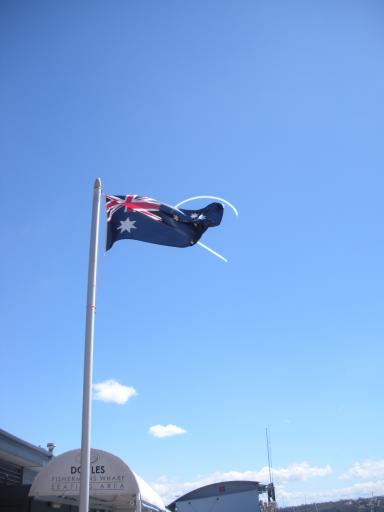 15. Half of heart + flag