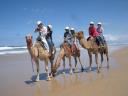 12. Riding the camels