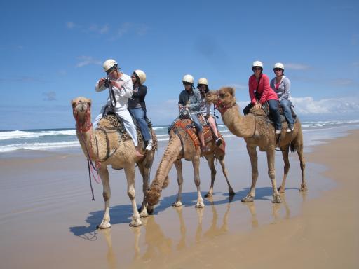 12. Riding the camels