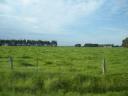 66. Pretty sights along the way