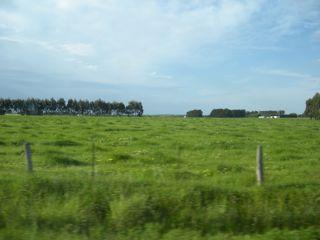 66. Pretty sights along the way
