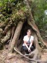 30. Mait's Rest Rainforest Walk