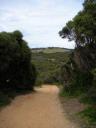 06. Behind Bells Beach