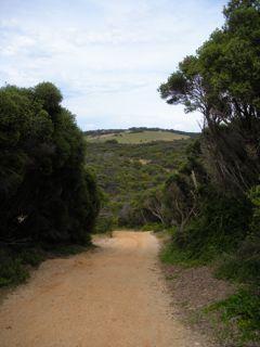 06. Behind Bells Beach
