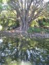 24. Botanical Gardens