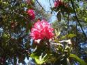 23. Botanical Gardens