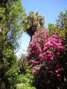 20. Botanical Gardens