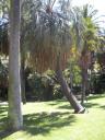 18. Botanical Gardens
