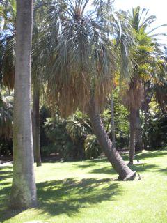 18. Botanical Gardens