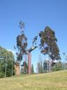 08. Kings Domain - boy on hand