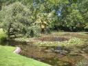 04. Kings Domain - The lake