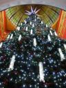 13. 7-11 QVB Xmas