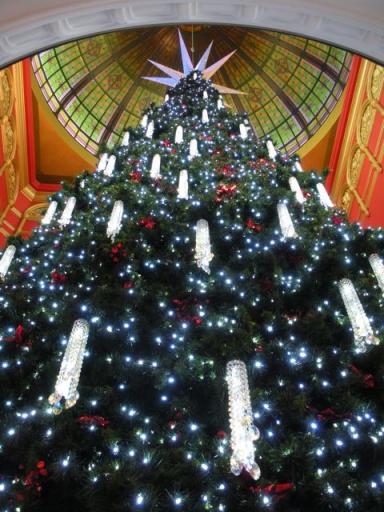 13. 7-11 QVB Xmas