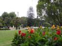 52 Albert Park