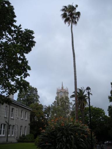 50 Old Arts Building