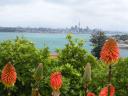 22 City + flowers