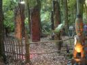 21 Maori village