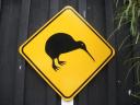 63 Kiwi