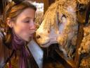 35 Moi + sheep