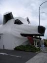 10 Plaspauze in Tirau